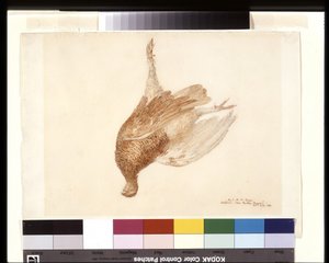 Grouse mort - Joseph Mallord William Turner