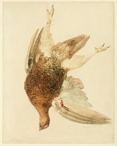 Grouse, du Livre des oiseaux de Farnley - Joseph Mallord William Turner