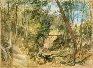 La Promenade en bois, Farnley Hall - Joseph Mallord William Turner