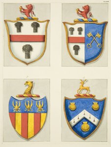 Blasons dans l