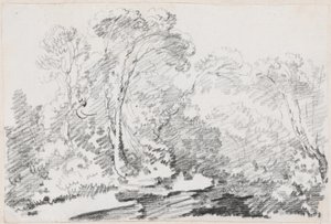 Arbres