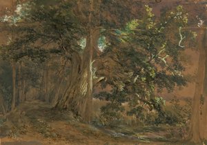 Intérieur de forêt près de Lundenburg (groupe d
