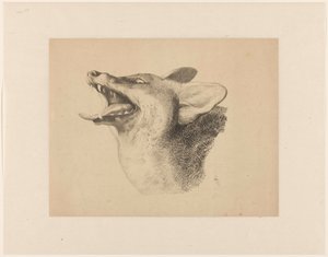 Tête de renard - Joseph Mendes da Costa
