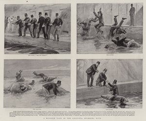 Une course de Mussuck dans la piscine de Calcutta