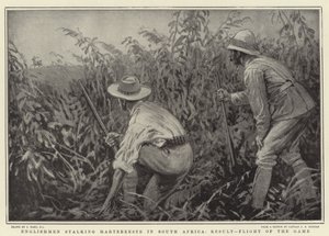Des Anglais traquant des hartebeestes en Afrique du Sud, Résultat, fuite du gibier