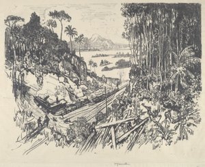 La jungle - Joseph Pennell