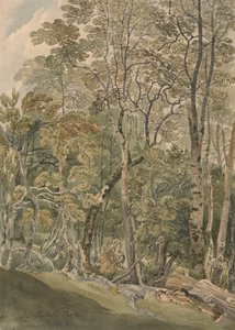 Dans le parc de Rydal - Joseph Powell