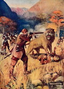 Un grand lion a sauté sur un des hommes, 1909
