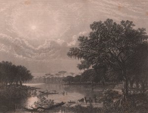 Bayou de Louisiane, États-Unis, gravure sur acier par Robert Hinshelwood (1812-après 1875) d