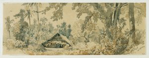 Hutte indigène sur l