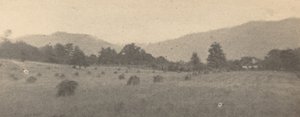 Paysage avec arbres et montagnes - Joseph T. Keiley
