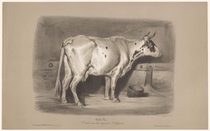 Vache dans une étable (série Étude aux deux crayons par Z. Gengembre) - Joseph Zephyris Gengembre