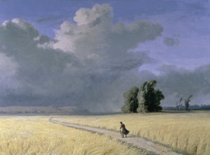 Champ de blé près de Calais