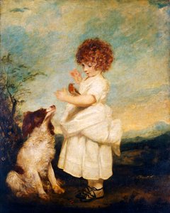 Maître Philip Yorke, plus tard vicomte Royston - Joshua Reynolds