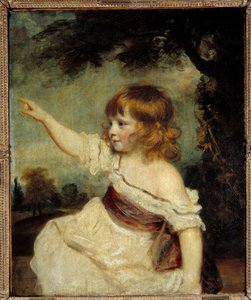 Portrait de Mademoiselle Hare - Joshua Reynolds