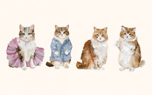 Des chats adorables en costume - Josie George