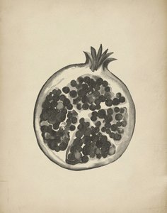 Grenade coupée