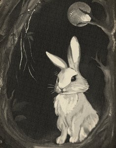 Lapin de la forêt au clair de lune - Josie George