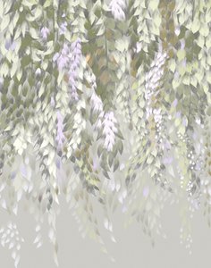 Fleurs de glycine aux tons pastel - Josie George