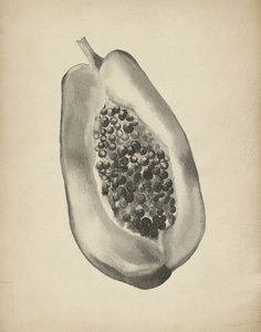 Demi-papaye tropicale