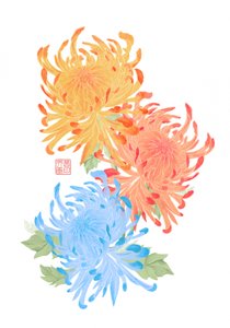 Chrysanthèmes asiatiques vibrants