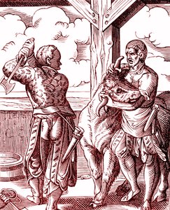 Un boucher - Nourriture et cuisine au Moyen Âge. Gravure de Jost Amman (1539-1591). Gravure de 1878 - Jost (after) Amman