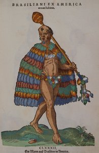 Un Brésilien d