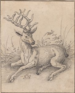Le cerf - Jost Amman