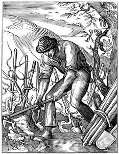 Vigneron, 16ème siècle 1849 - Jost Amman