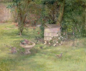 Ruche et colombes