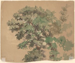 Arbre - Jr. Enoch Wood Perry