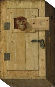 Singe dans une boîte en bois