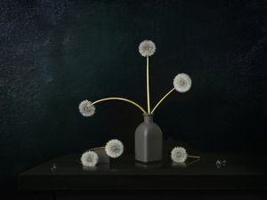 Nature morte au pissenlit - Juan Antonio Palacios