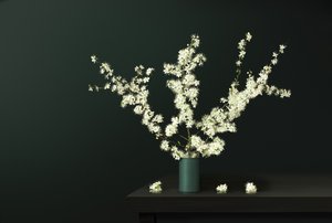 Fleurs fraîches du printemps - Juan Antonio Palacios