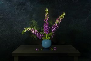 Nature morte à la digitale pourpre - Juan Antonio Palacios