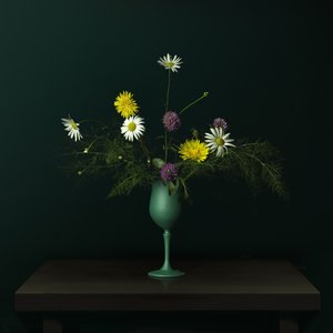 Nature morte avec un vase de fleurs sauvages - Juan Antonio Palacios