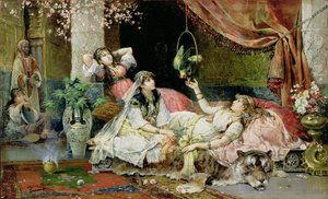 Dans le harem