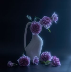  - Judy Tseng