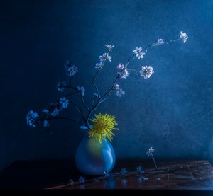  - Judy Tseng