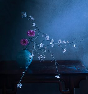  - Judy Tseng