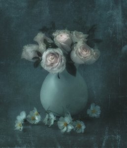  - Judy Tseng