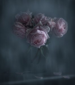 Roses roses « Moody » - Judy Tseng