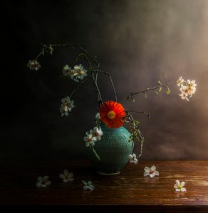  - Judy Tseng