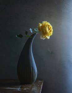  - Judy Tseng