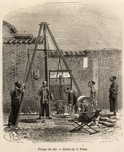 La pesée du thé avant son expédition sur les marchés commerciaux dans une usine de poudre à canon à Fati Bay (province de Canton), gravé d