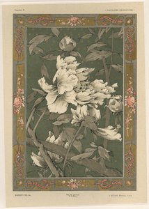 Fleurs, planche 31 de 