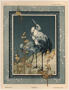 Cigognes, planche 40 de 