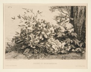 Pivoines et rhododendrons - Jules Ferdinand Jacquemart