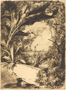 Plantes de serre - Jules Ferdinand Jacquemart