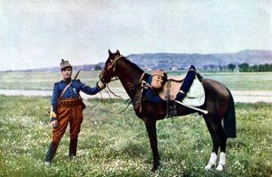 Un brigadier français et son cheval pendant la bataille de la Marne à l